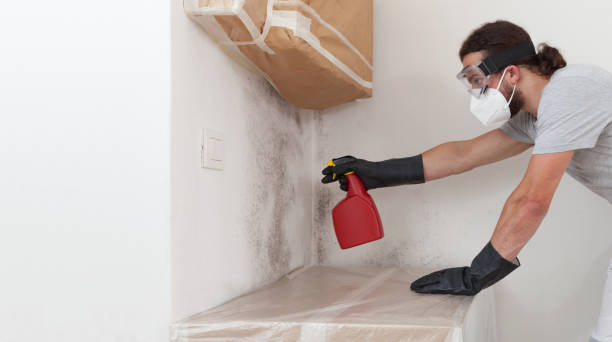 Professional Bathroom Mold Removal technician working in Wendell, NC