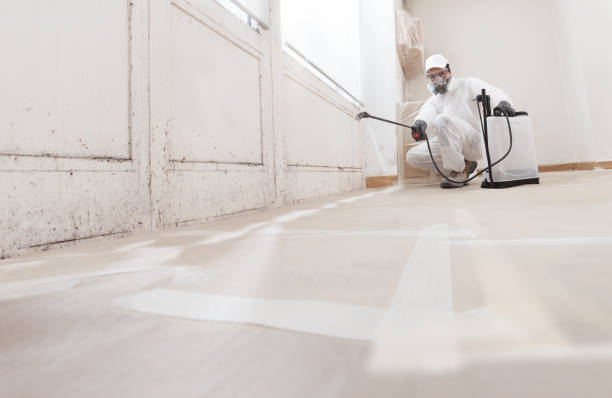 24/7 Emergency Bathroom Mold Removal experts in Wendell, NC