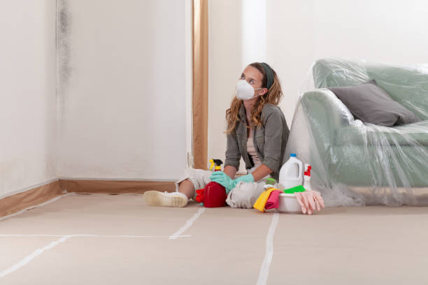 Reliable Bathroom Mold Removal contractor in Wendell, NC by Mold Remediation HQ